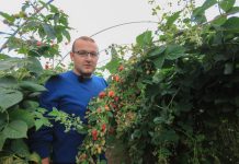 #Prawdziwe historie v4 – Ogrodnik z wyboru