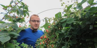 #Prawdziwe historie v4 – Ogrodnik z wyboru