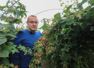 #Prawdziwe historie v4 – Ogrodnik z wyboru