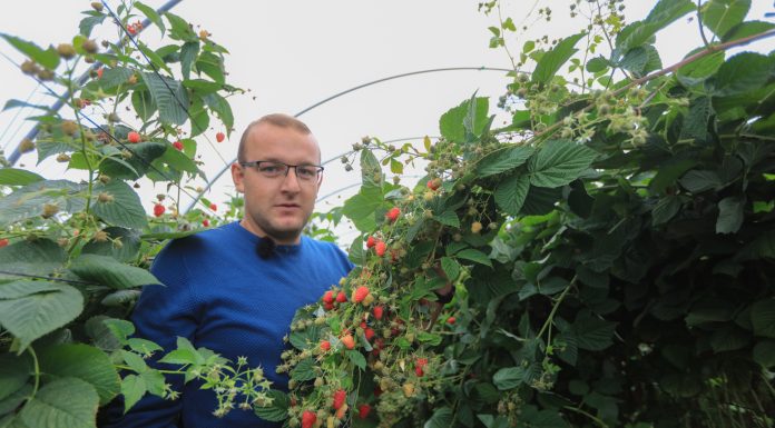 #Prawdziwe historie v4 – Ogrodnik z wyboru