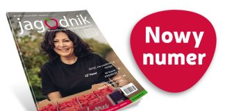 Jagodnik 1/2024 już w sprzedaży