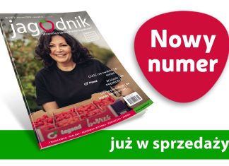 Jagodnik 1/2024 już w sprzedaży