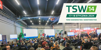 TSW 2024 – dlaczego warto tam być?