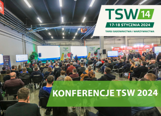 TSW 2024 – dlaczego warto tam być?
