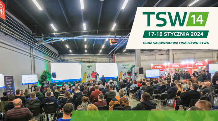 TSW 2024 – dlaczego warto tam być?