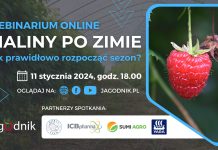 Maliny po zimie. Jak prawidłowo rozpocząć nowy sezon?
