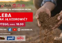 Gleba – jak ją uzdrowić?