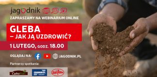 Gleba – jak ją uzdrowić?