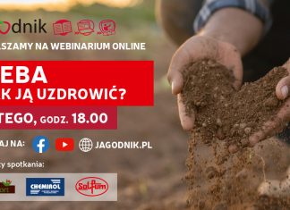 Gleba – jak ją uzdrowić?