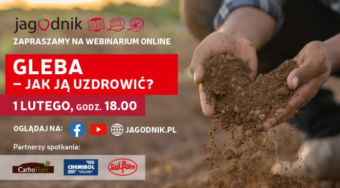 Gleba – jak ją uzdrowić?