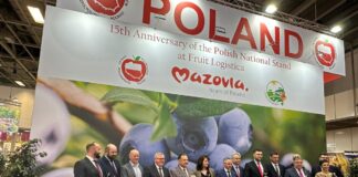 Fruit Logistica 2024 coraz większa. Polska po raz 15 na wspólnym stoisku