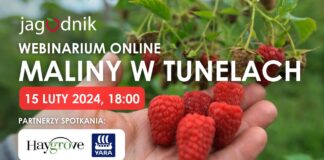 Maliny w tunelach – czy to się opłaca? Zapraszamy na webinarium