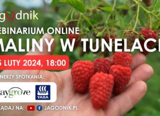 Maliny w tunelach – czy to się opłaca? Zapraszamy na webinarium