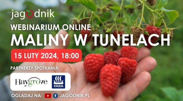 Maliny w tunelach – czy to się opłaca? Zapraszamy na webinarium