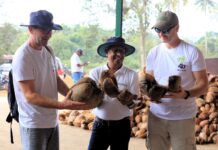Podłoże kokosowe do uprawy jagodowych. Prosto ze Sri Lanki