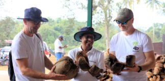 Podłoże kokosowe do uprawy jagodowych. Prosto ze Sri Lanki