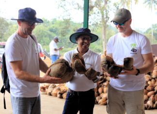 Podłoże kokosowe do uprawy jagodowych. Prosto ze Sri Lanki