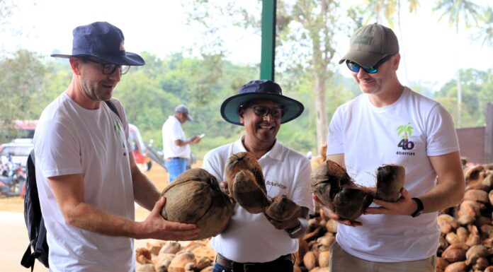 Podłoże kokosowe do uprawy jagodowych. Prosto ze Sri Lanki