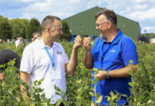Czy to są najlepsze borówki świata?