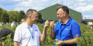 Czy to są najlepsze borówki świata?