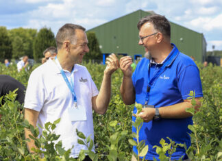 Czy to są najlepsze borówki świata?