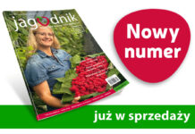 Jagodnik 2/2024 już w sprzedaży