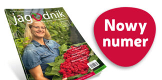 Jagodnik 2/2024 już w sprzedaży