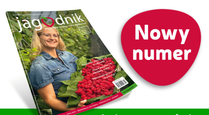 Jagodnik 2/2024 już w sprzedaży