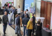 Czy warto być na Międzynarodowej Konferencji Borówkowej 2024?