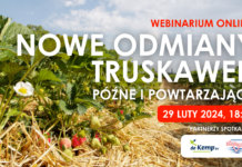 Nowe odmiany truskawek: późne i powtarzające. Zapraszam na webinarium!