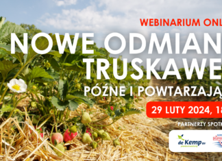 Nowe odmiany truskawek: późne i powtarzające. Zapraszam na webinarium!
