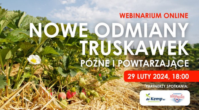 Nowe odmiany truskawek: późne i powtarzające. Zapraszam na webinarium!
