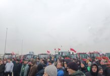 Czy protesty rolnicze coś zmienią?