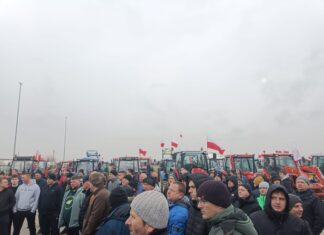 Czy protesty rolnicze coś zmienią?