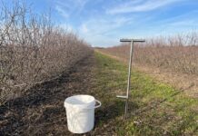 Analiza chemiczna gleby – czy to dobry moment na pobranie prób?