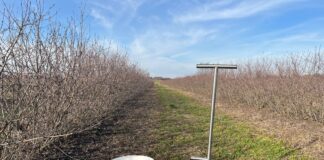 Analiza chemiczna gleby – czy to dobry moment na pobranie prób?