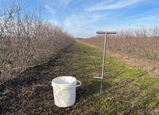 Analiza chemiczna gleby – czy to dobry moment na pobranie prób?