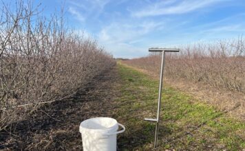 Analiza chemiczna gleby – czy to dobry moment na pobranie prób?