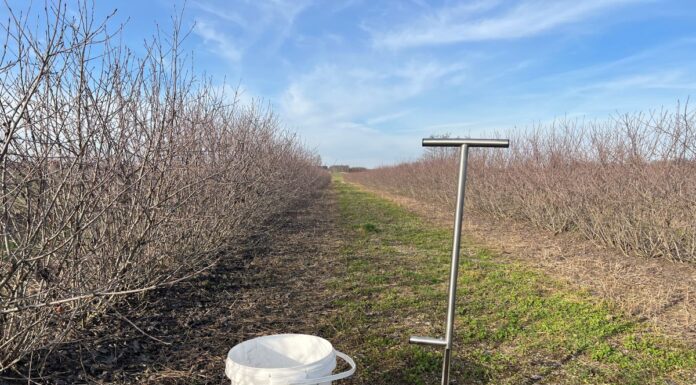 Analiza chemiczna gleby – czy to dobry moment na pobranie prób?