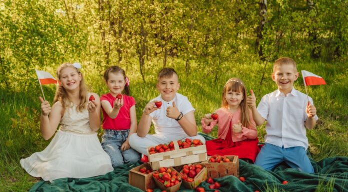 Kilogram polskich truskawek za 1000 zł, a borówki za 335 zł/kg!