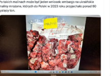 Zapleśniałe maliny cofnięte na Ukrainę. Aktywne kontrole na granicy