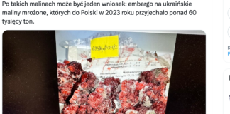 Zapleśniałe maliny cofnięte na Ukrainę. Aktywne kontrole na granicy