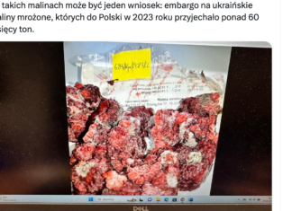 Zapleśniałe maliny cofnięte na Ukrainę. Aktywne kontrole na granicy