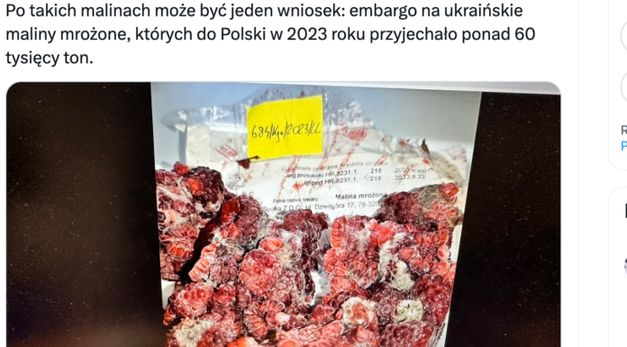 Zapleśniałe maliny cofnięte na Ukrainę. Aktywne kontrole na granicy