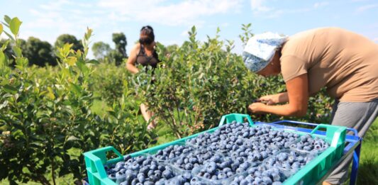 Rynek wyznacza cel, technologia ma dowieźć jakość (cz. I)
