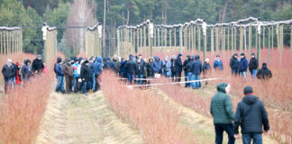 Wszystko dla borówki. Plenerowy dzień Konferencji Borówkowej 2024