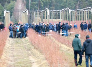 Wszystko dla borówki. Plenerowy dzień Konferencji Borówkowej 2024