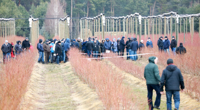Wszystko dla borówki. Plenerowy dzień Konferencji Borówkowej 2024