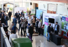 Międzynarodowa Konferencja Borówkowa łączy plantatorów i fanów borówki