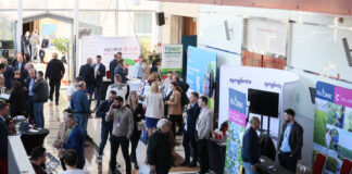 Międzynarodowa Konferencja Borówkowa łączy plantatorów i fanów borówki